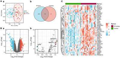 Identification and cross-validation of autophagy-related genes in cardioembolic stroke